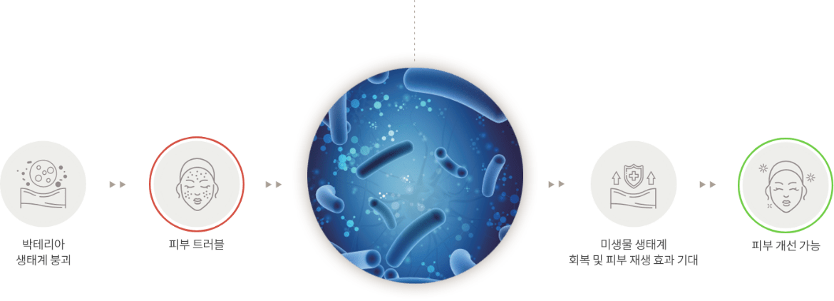 バクテリア 生態系崩壊, 皮膚トラブル, 微生物生態系 回復と肌の再生効果を期待, お肌改善可能