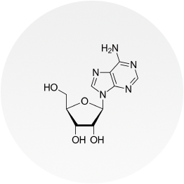 adenosine